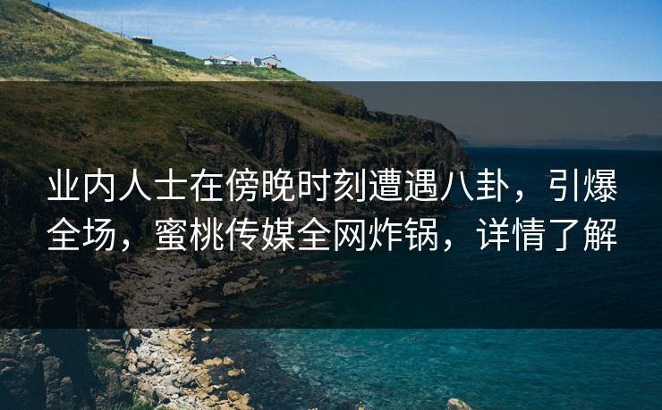 业内人士在傍晚时刻遭遇八卦，引爆全场，蜜桃传媒全网炸锅，详情了解